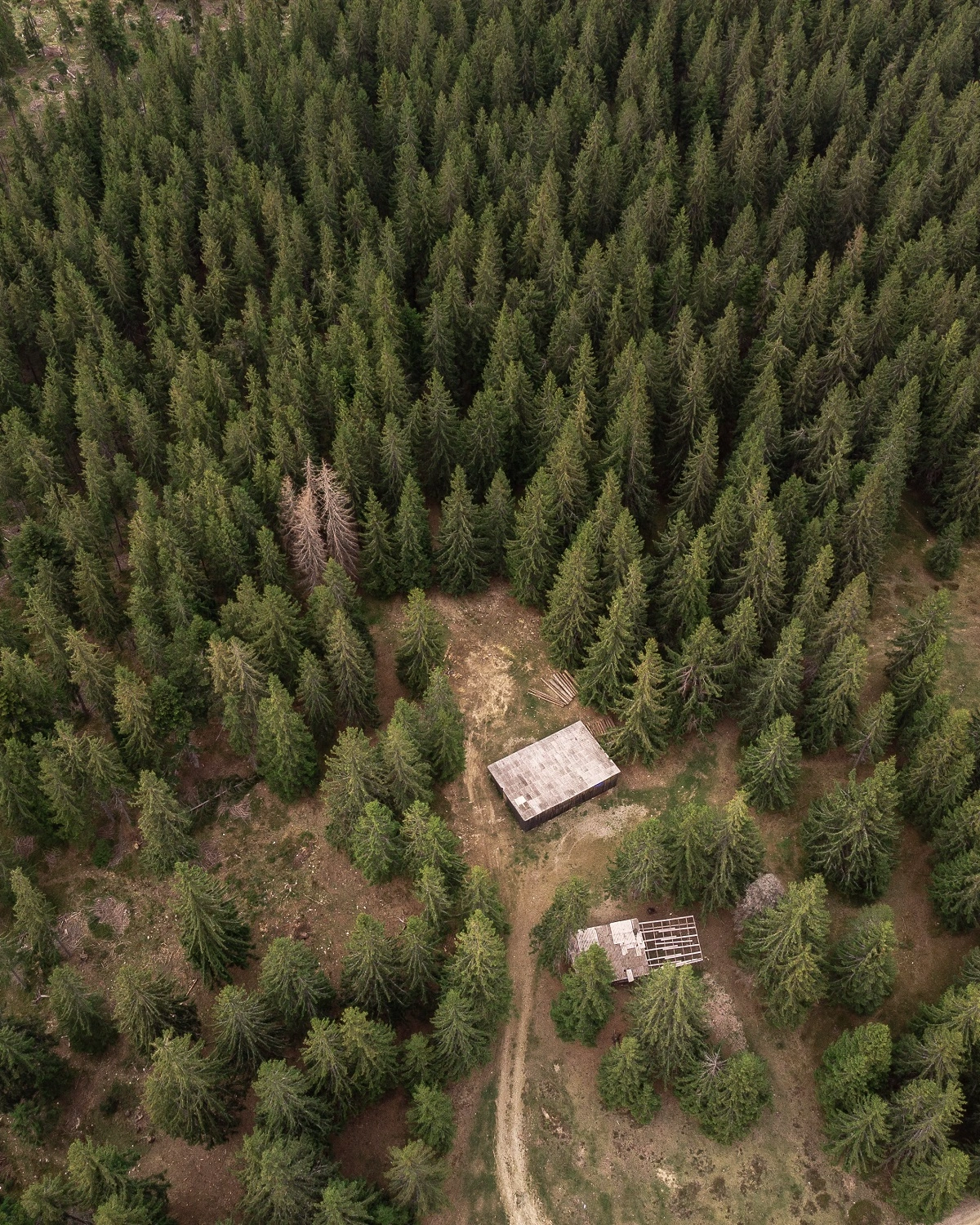 Travaux forestiers et entretien des espaces naturels dans le Var
