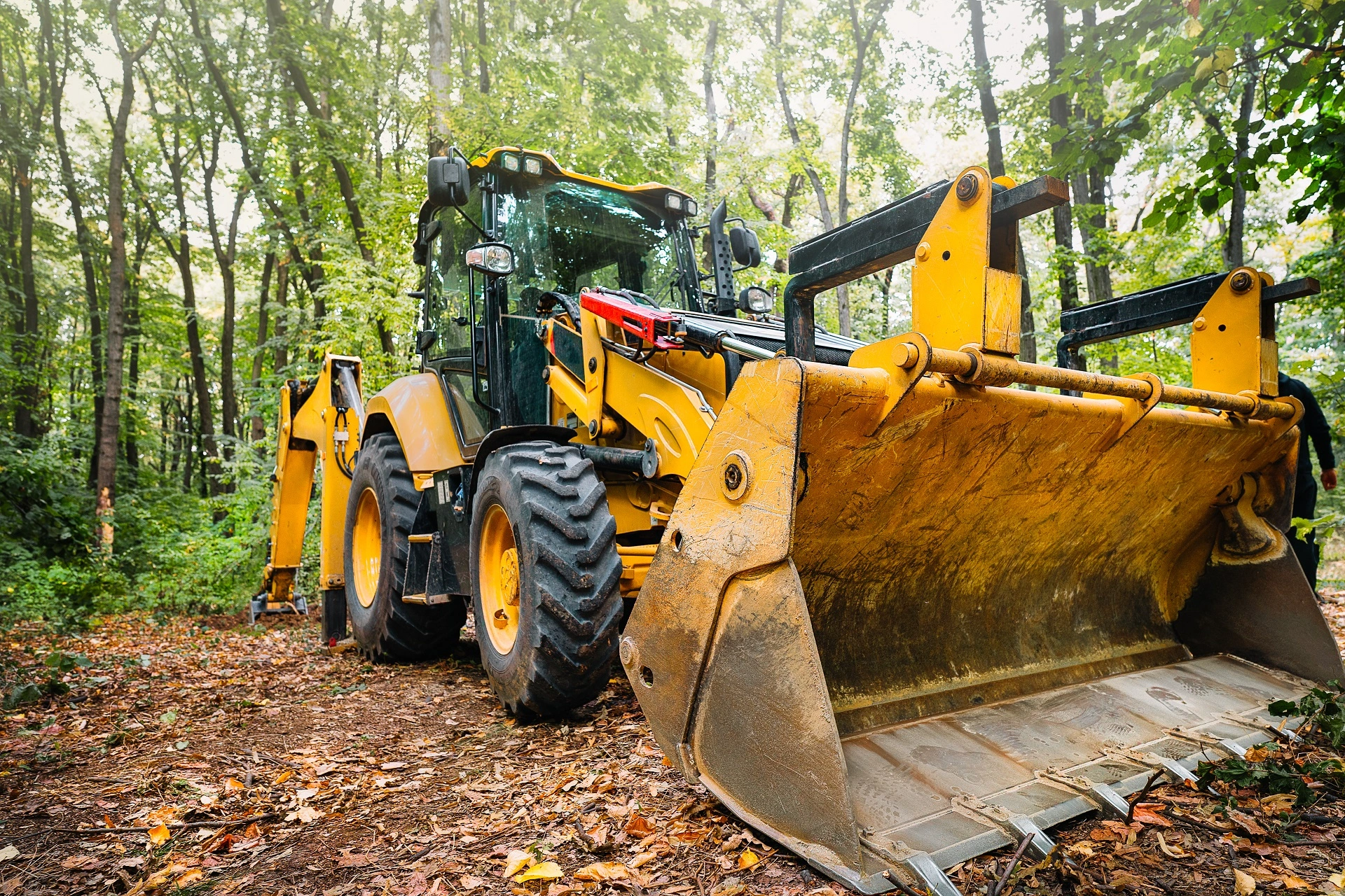 Travaux forestiers et entretien des espaces naturels dans le Var