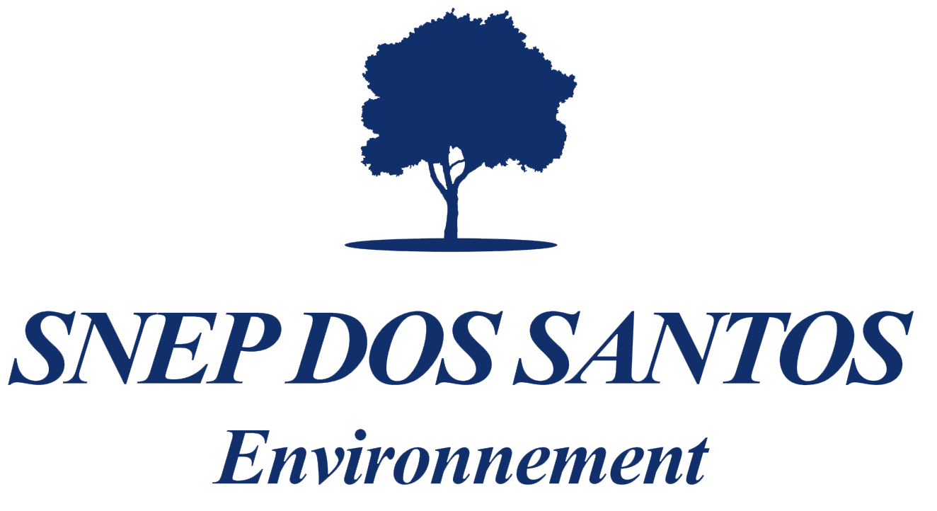 Snep dos santos