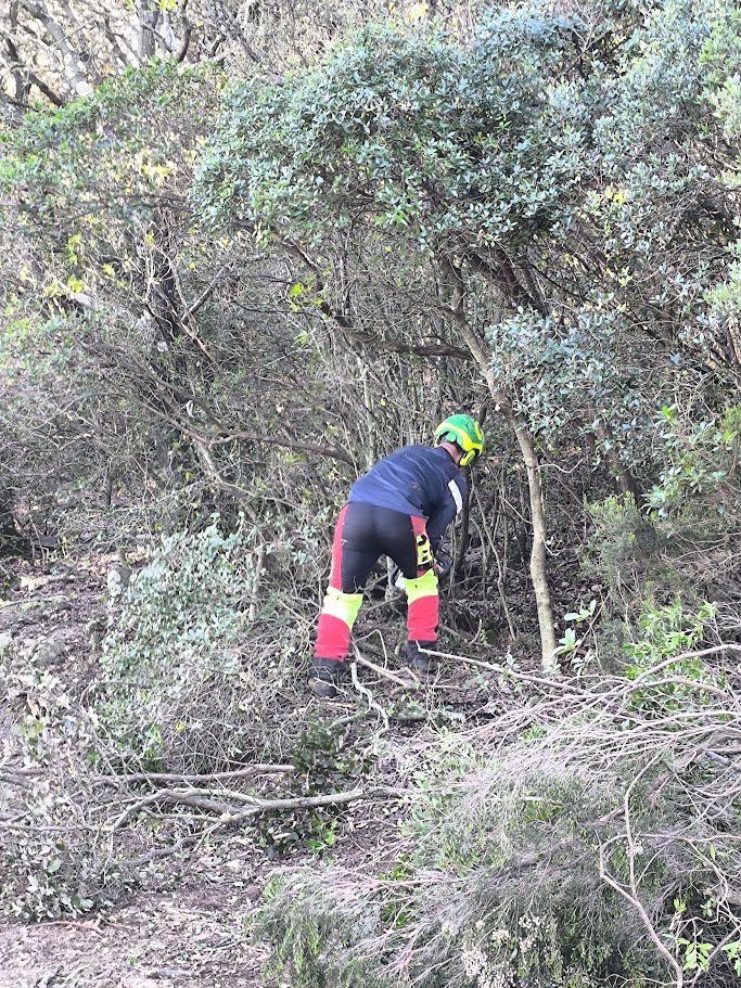 Travaux forestiers dans le Var