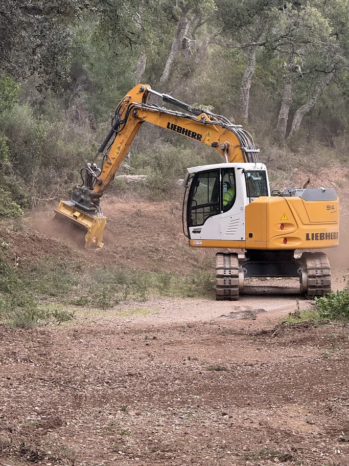 Entretien d’espace forestier en région PACA
