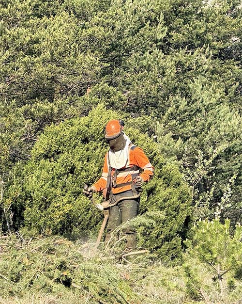 Débroussailleur travaux forestier dans le Var
