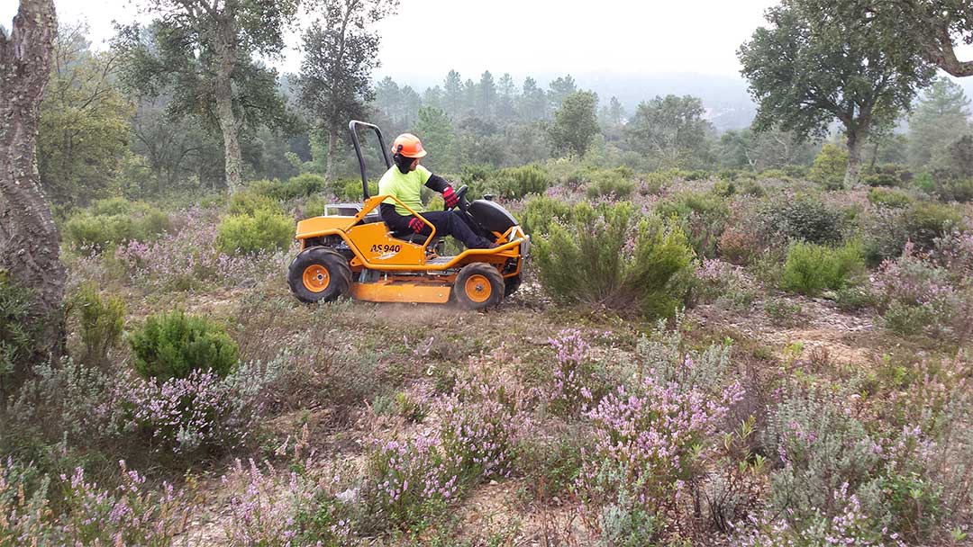 Entreprise d'entretien et travaux forêts dans le Var